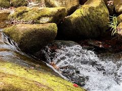 -本溪老边沟风景区