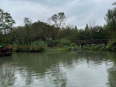 -西溪国家湿地公园