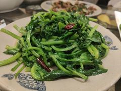 -马帮菜馆·美味野生菌