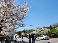 -江南大学(蠡湖校区)
