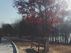 游乐设施-长春世界雕塑园冰雪艺术天地