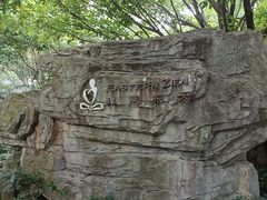 -海口观澜湖火山温泉谷