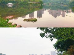 -重庆彩云湖湿地公园