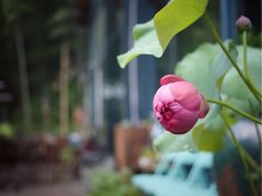 -宁波余姚老柿林山居度假村