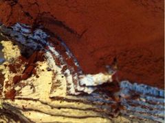 -Awfully Chocolate(来福士广场店)