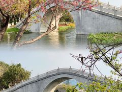 -映月湖公园