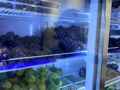 -雾与山茶(大禹城店)