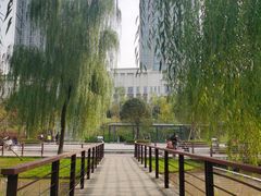 -沐仙湖湿地公园