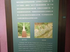 -衢州市博物馆