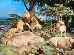 -国家自然博物馆