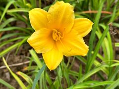 -野鸭湖国家湿地公园