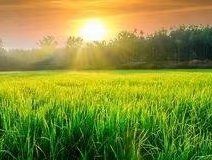 -妃格美发沙龙·烫发·染发