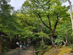 -常寂光寺