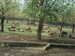 -西安秦岭野生动物园