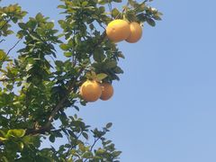 -浙江大学(紫金港校区)