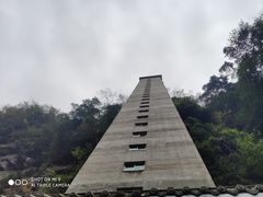 -中国大熊猫保护研究中心雅安碧峰峡基地