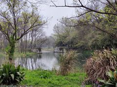 -西溪国家湿地公园