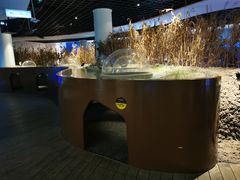 -上海长江河口科技馆