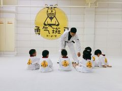 -勇气斑马·巴西柔术&跆拳道(浦东三林店)