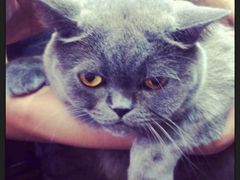 android_upload_pic-东浩兰生上海世博展览馆