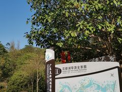 -广东花都湖国家湿地公园