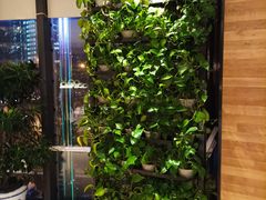 -香浙汇(望京店)