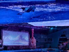 -华夏文旅海洋公园