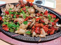 -蒙料·手把肉(望京店)