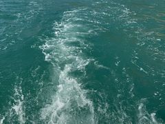 -小猫钓鱼海钓俱乐部(椰梦长廊店)