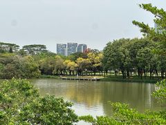 -顺峰山公园