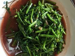 野芹菜-仙店农庄(湖景农庄餐厅)