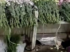 -昆明国际花卉拍卖交易中心