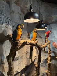 -Zoolung Zoolung动物主题公园(海信广场店)