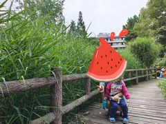 -成都市活水公园