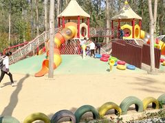 -合肥滨湖国家森林公园