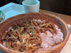-大榕树下顺德菜(融创茂店)