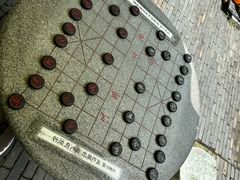 -合肥滨湖国家森林公园