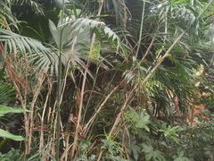 -郑州银基黄帝宫御温泉