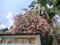 -深圳国际园林花卉博览园