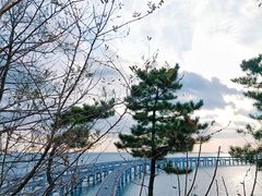 -星海湾跨海大桥