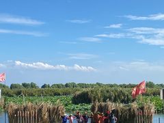 -洪湖生态旅游区