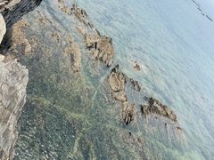 -大连金石滩滨海国家地质公园