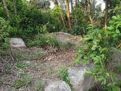-野狸岛