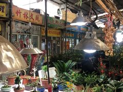 -万商花鸟市场