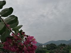 -三英温泉度假酒店-自助餐厅