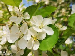 -郑州方特梦幻王国