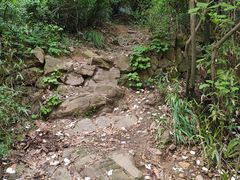 -杭州半山国家森林公园