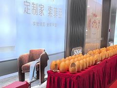 -索菲亚衣柜橱柜全屋定制(真北红星店)