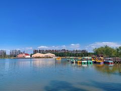 -上海长兴岛郊野公园