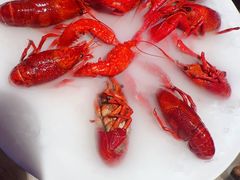 -红盔甲·小龙虾(车公庙店)